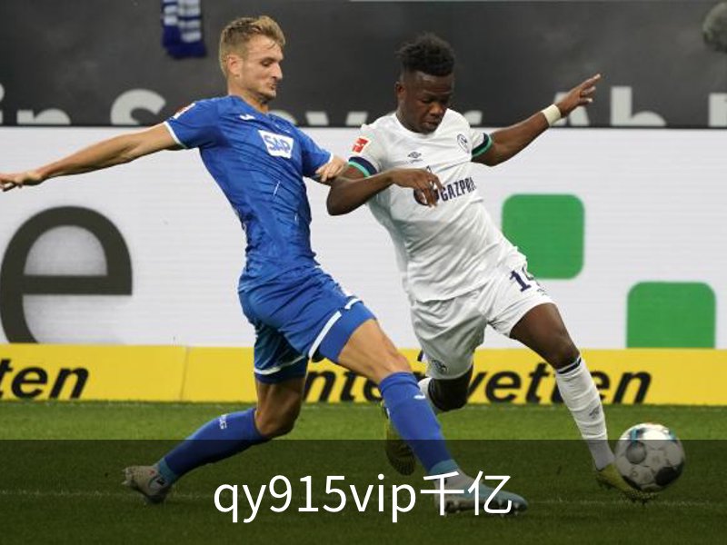 qy915vip千亿介绍